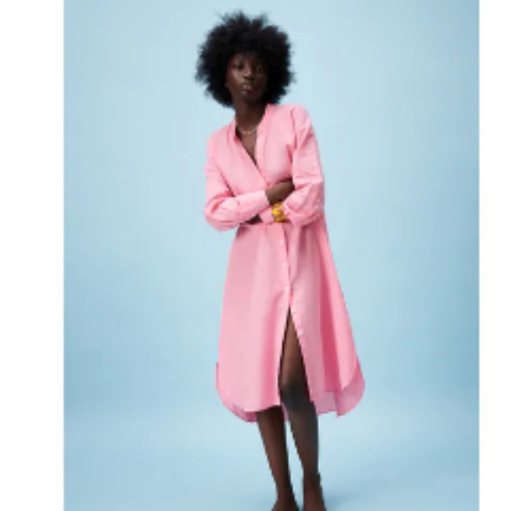 NWT Zara Pink Linen Dress
